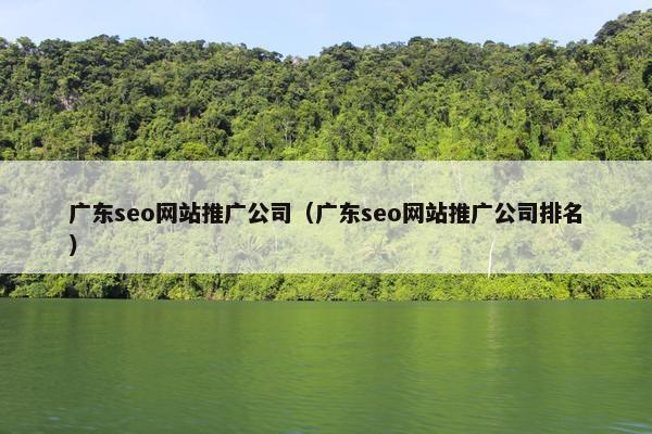广东seo网站推广公司（广东seo网站推广公司排名）