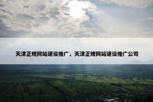 天津正规网站建设推广，天津正规网站建设推广公司