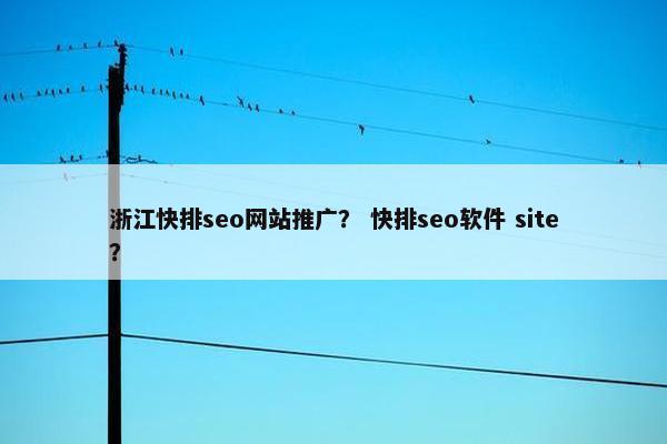 浙江快排seo网站推广？ 快排seo软件 site？
