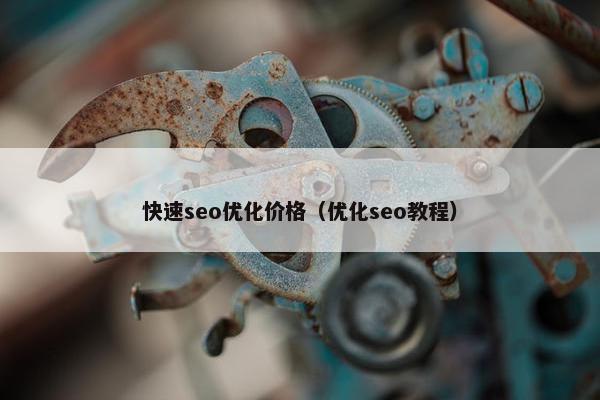 快速seo优化价格（优化seo教程）