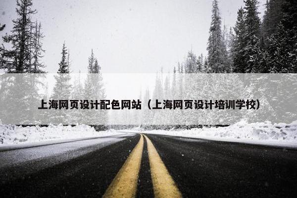 上海网页设计配色网站（上海网页设计培训学校）