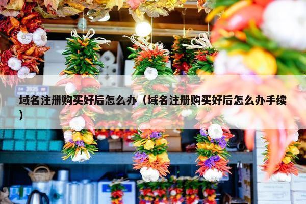 域名注册购买好后怎么办（域名注册购买好后怎么办手续）