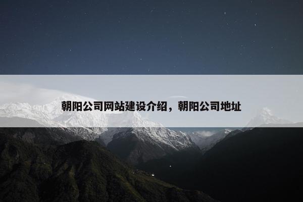 朝阳公司网站建设介绍，朝阳公司地址