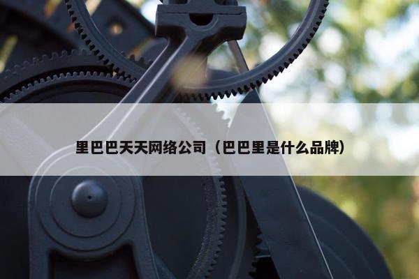 里巴巴天天网络公司（巴巴里是什么品牌）
