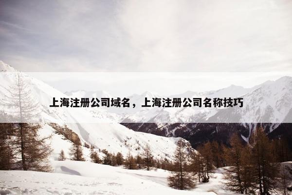 上海注册公司域名，上海注册公司名称技巧