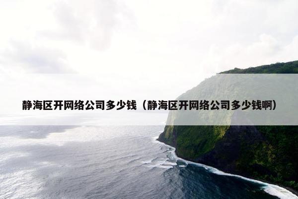 静海区开网络公司多少钱（静海区开网络公司多少钱啊）