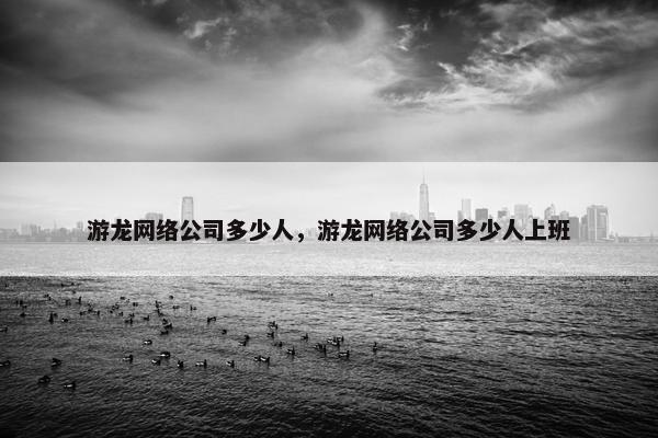 游龙网络公司多少人，游龙网络公司多少人上班