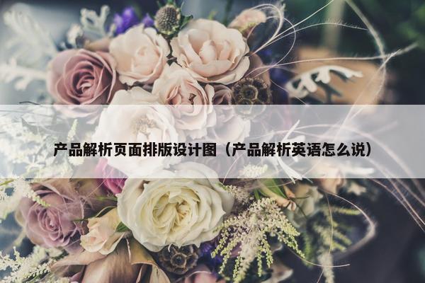 产品解析页面排版设计图（产品解析英语怎么说）