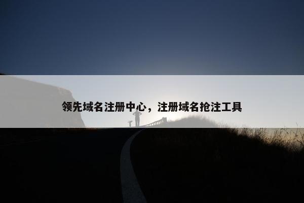 领先域名注册中心，注册域名抢注工具