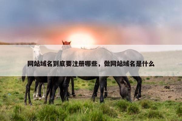 网站域名到底要注册哪些，做网站域名是什么
