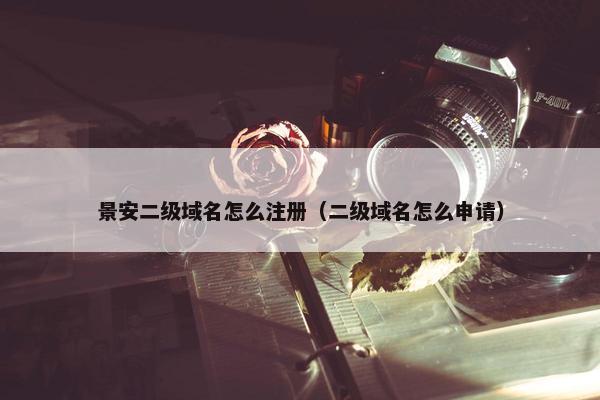 景安二级域名怎么注册（二级域名怎么申请）