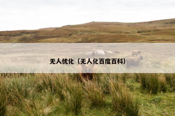 无人优化（无人化百度百科）