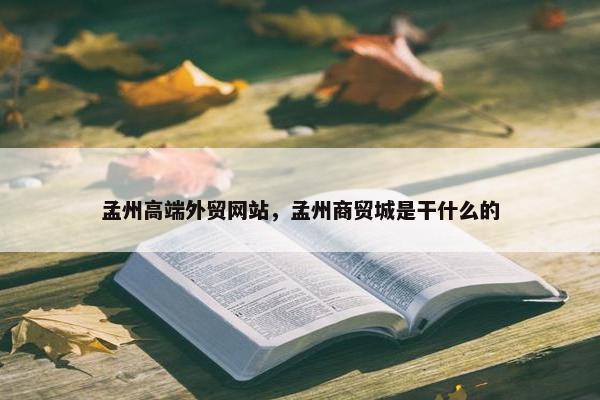 孟州高端外贸网站，孟州商贸城是干什么的