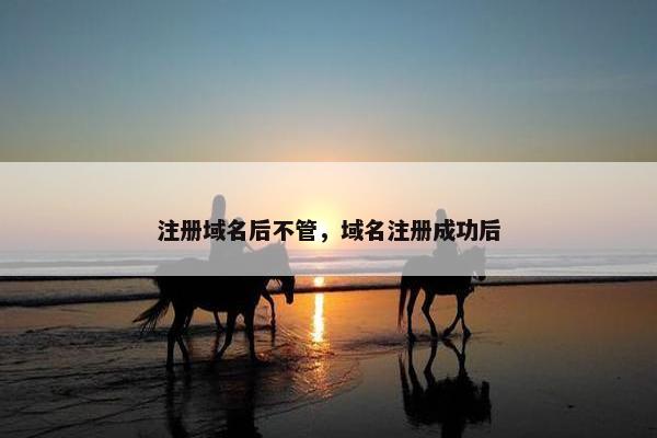 注册域名后不管，域名注册成功后
