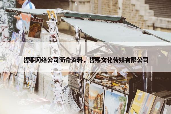 哲熙网络公司简介资料，哲熙文化传媒有限公司