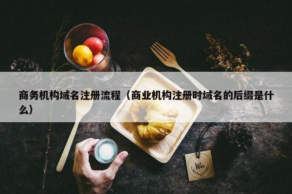 商务机构域名注册流程（商业机构注册时域名的后缀是什么）