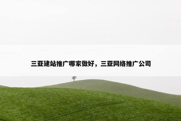 三亚建站推广哪家做好，三亚网络推广公司