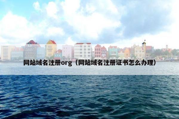 网站域名注册org（网站域名注册证书怎么办理）
