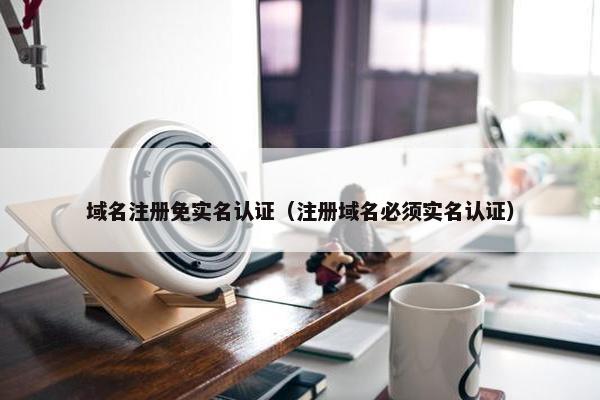 域名注册免实名认证（注册域名必须实名认证）