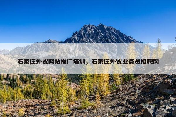 石家庄外贸网站推广培训，石家庄外贸业务员招聘网