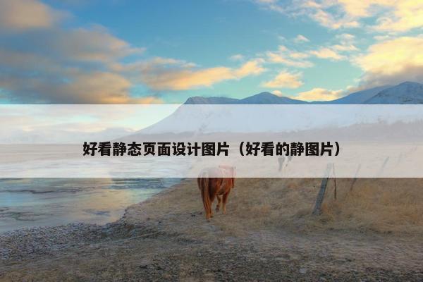 好看静态页面设计图片（好看的静图片）