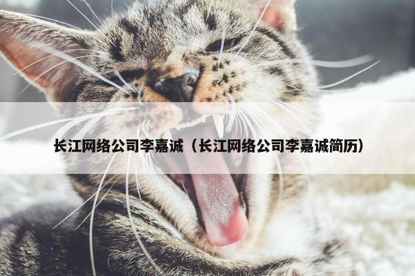 长江网络公司李嘉诚（长江网络公司李嘉诚简历）