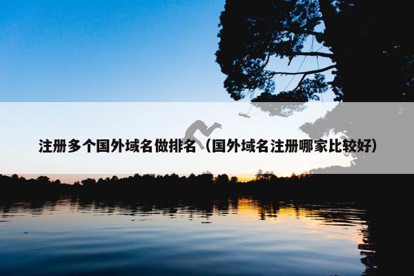注册多个国外域名做排名（国外域名注册哪家比较好）