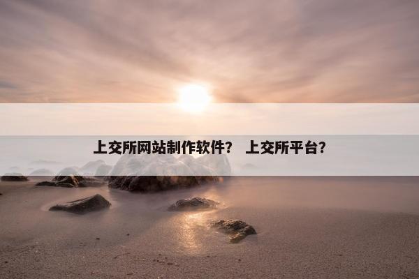 上交所网站制作软件？ 上交所平台？