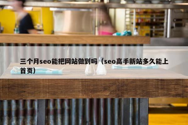 三个月seo能把网站做到吗（seo高手新站多久能上首页）
