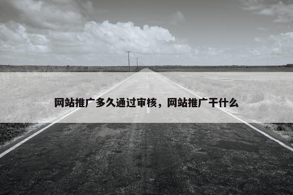 网站推广多久通过审核，网站推广干什么
