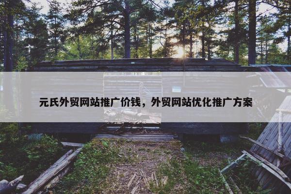 元氏外贸网站推广价钱，外贸网站优化推广方案