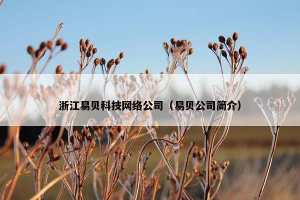 浙江易贝科技网络公司（易贝公司简介）
