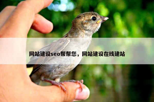 网站建设seo帮帮您，网站建设在线建站