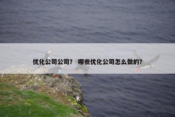 优化公司公司？ 哪些优化公司怎么做的？