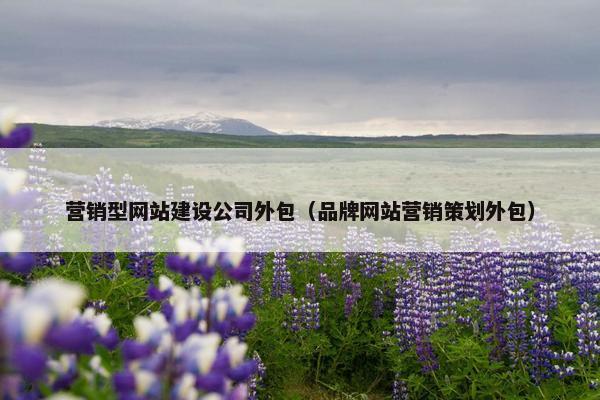 营销型网站建设公司外包（品牌网站营销策划外包）
