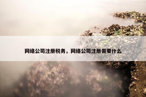 网络公司注册税务，网络公司注册需要什么