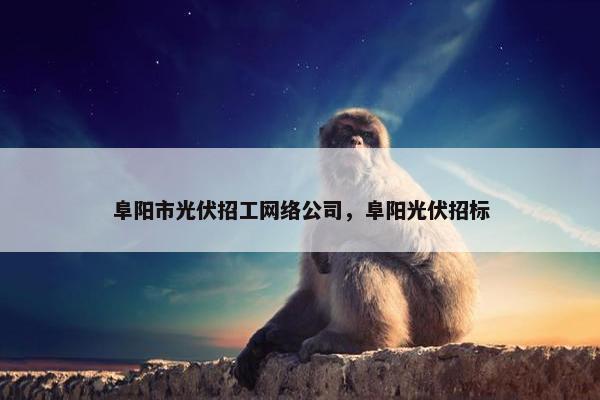 阜阳市光伏招工网络公司，阜阳光伏招标