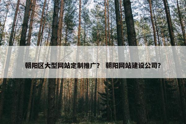 朝阳区大型网站定制推广？ 朝阳网站建设公司？