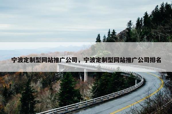 宁波定制型网站推广公司，宁波定制型网站推广公司排名