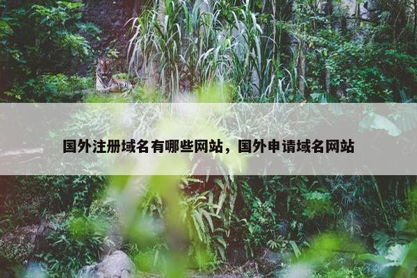 国外注册域名有哪些网站，国外申请域名网站