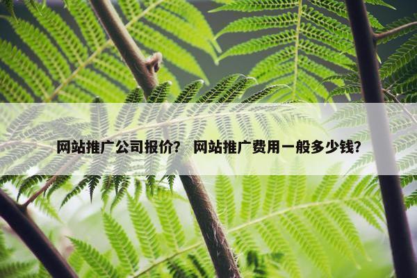 网站推广公司报价？ 网站推广费用一般多少钱？