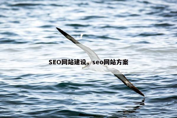 SEO网站建设，seo网站方案
