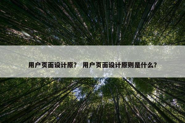用户页面设计原？ 用户页面设计原则是什么？