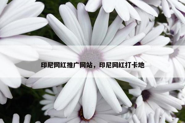 印尼网红推广网站，印尼网红打卡地