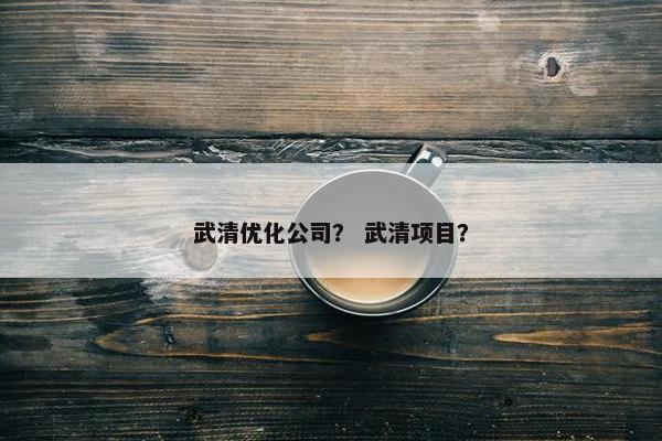 武清优化公司？ 武清项目？