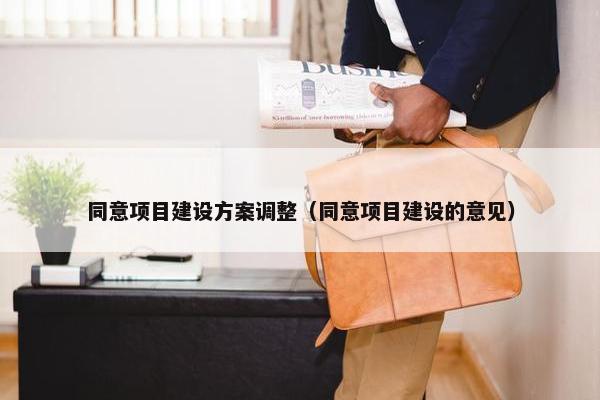 同意项目建设方案调整（同意项目建设的意见）
