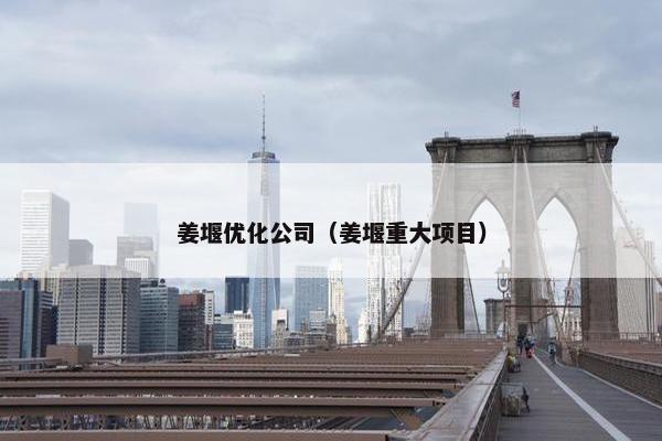 姜堰优化公司（姜堰重大项目）