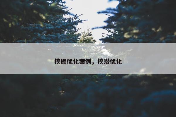 挖掘优化案例，挖潜优化