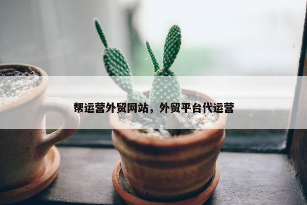 帮运营外贸网站，外贸平台代运营