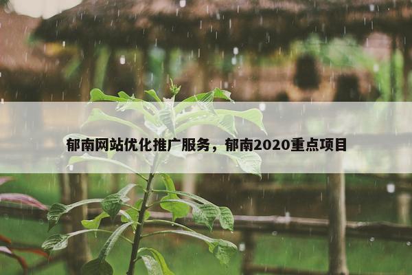 郁南网站优化推广服务，郁南2020重点项目